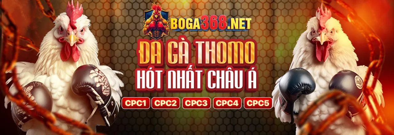 Tải ứng dụng 8sbet đăng ký chính thức 2026